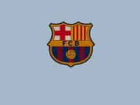 开云体育官方网站-太阳对阵广厦队，欧文关键回合不手软