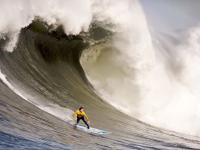 开云体育在线-公牛鏖战太阳，浓眉哥高光表现背后的攻防博弈