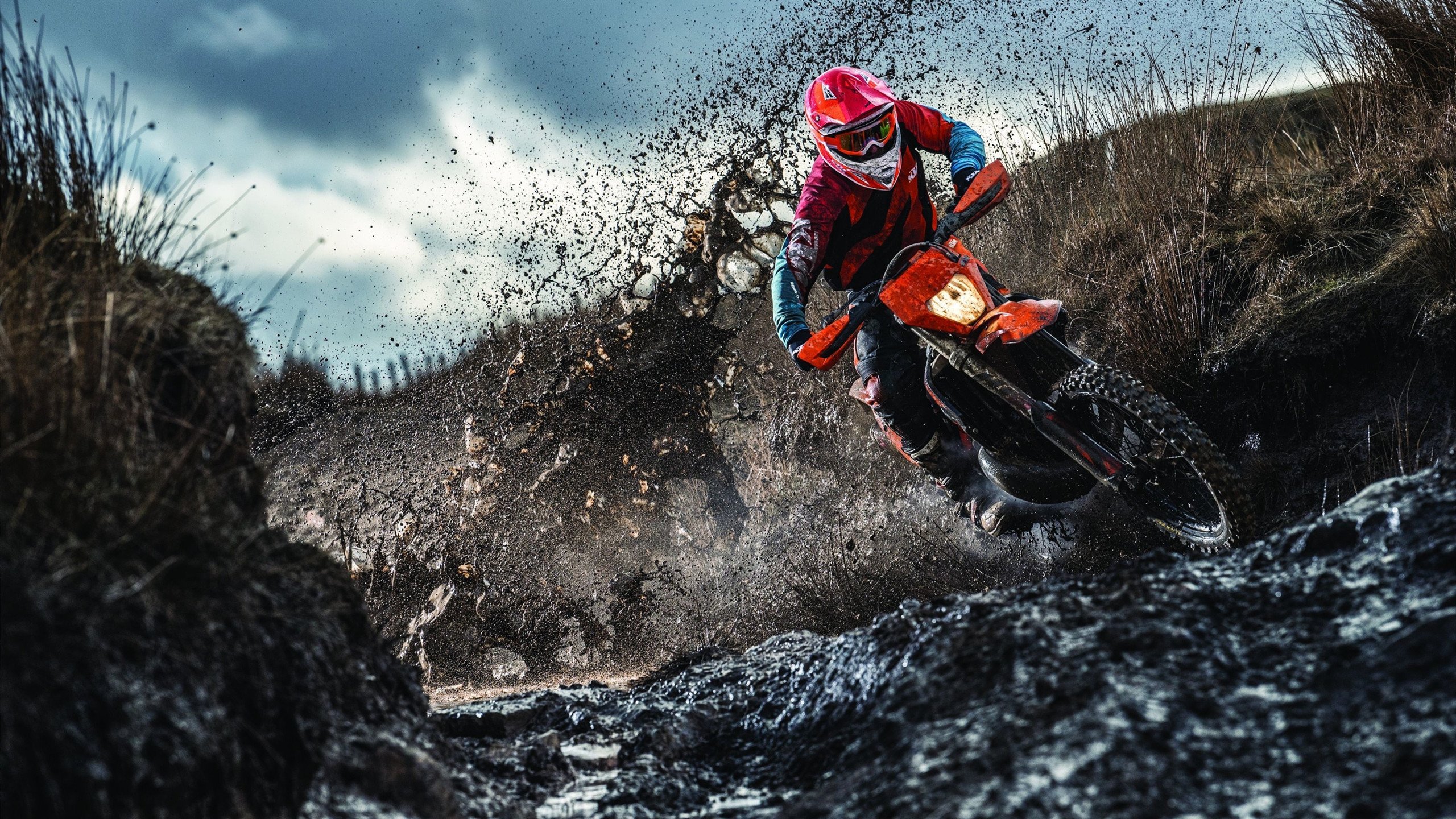 莫兰特狂飙47分创生涯新高，开拓者强势晋级灰熊遗憾出局